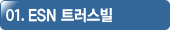 ESN 트러스빌